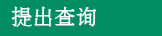 提出查询
